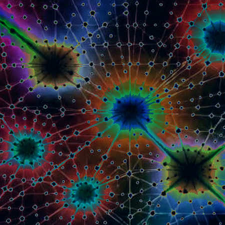 Whales and Dissent: The On-Chain Signal Behind OpenAI’s Internal Revolt Whales and Dissent: The On-Chain Signal Behind OpenAI’s Internal Revolt