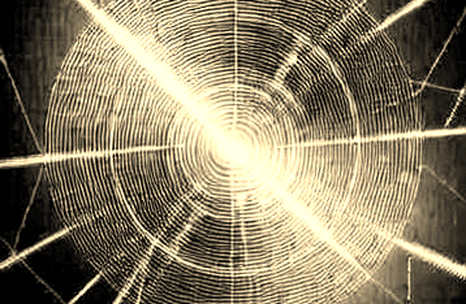 The $572k Arrest That Exposes Crypto's Real Vulnerability: Not Code, But Trust