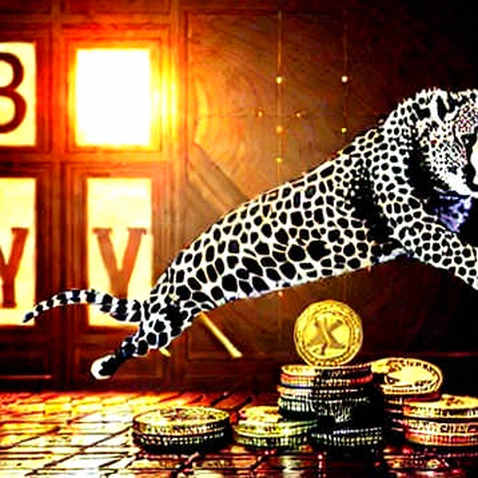 Bain Capital Dumps Kioxia Stake: The Classic Top-Tick Exit and What It Means for Crypto Storage